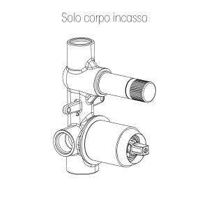 CORPO x INCASSO DOCCIA 2 VIE VISUAL INOX
